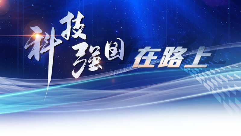 酒店会员营销系统：构建会员忠诚度的关键